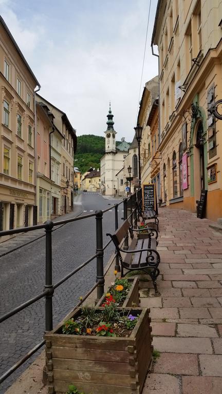 Siglisberg Villa Banská Štiavnica Cameră foto