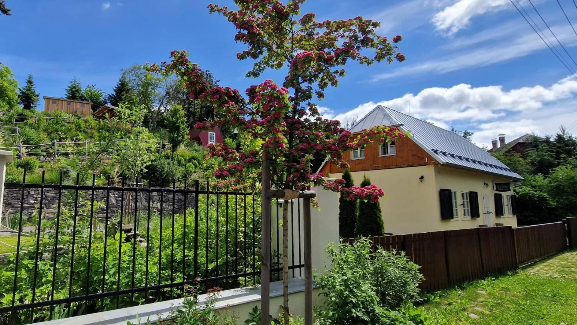 Siglisberg Villa Banská Štiavnica Exterior foto